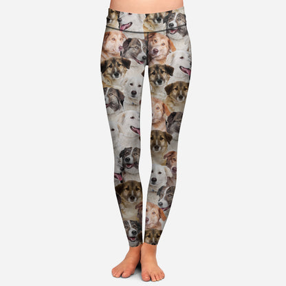 You Will Have A Bunch Of Aidies - Leggings V1