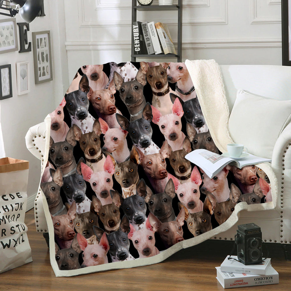 You Will Have A Bunch Of American Hairless Terriers - Blanket V1