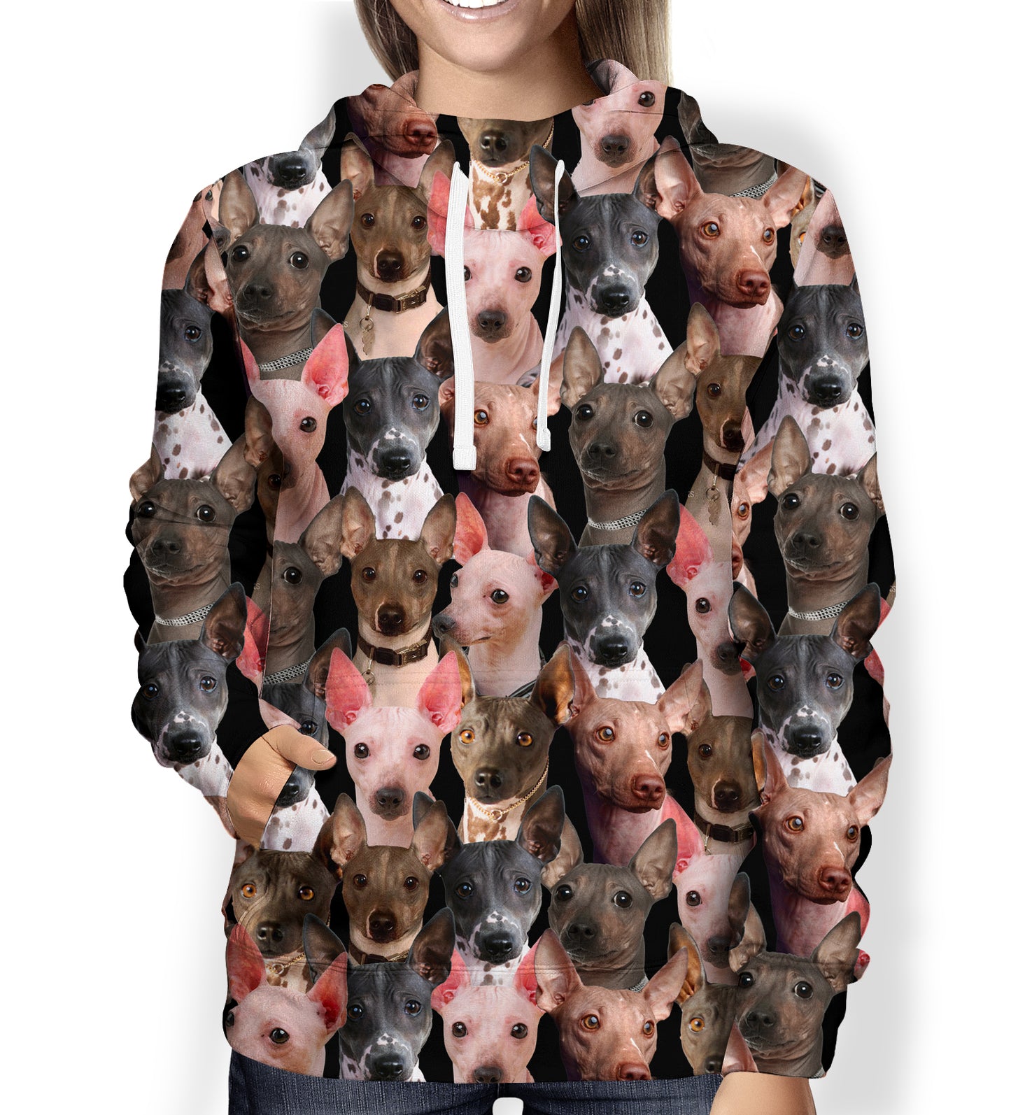 You Will Have A Bunch Of American Hairless Terriers - Hoodie V1