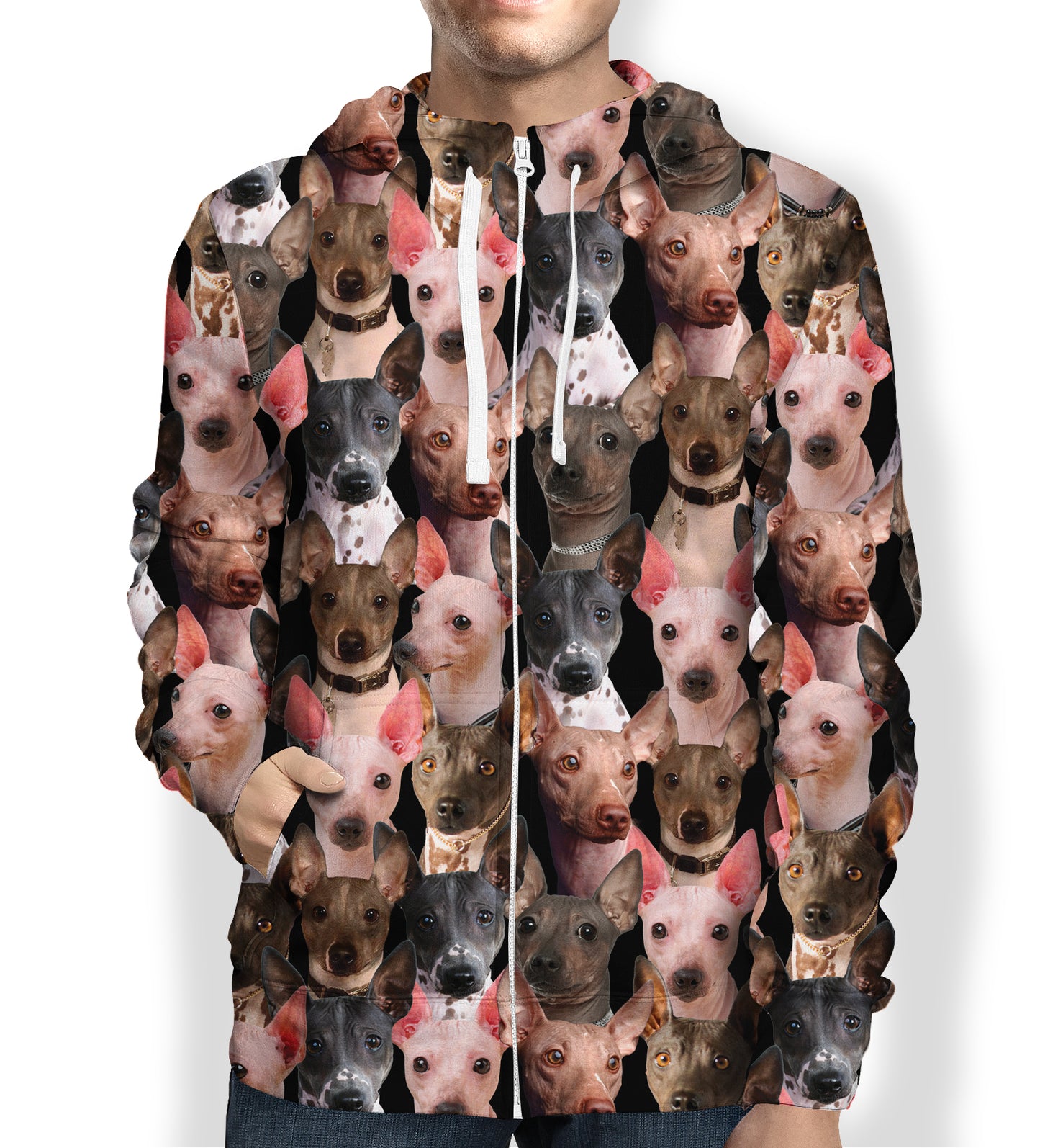 You Will Have A Bunch Of American Hairless Terriers - Hoodie V1
