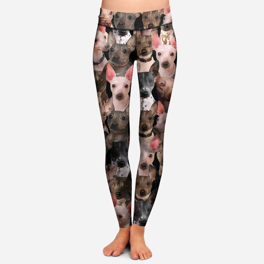 You Will Have A Bunch Of American Hairless Terriers - Leggings V1