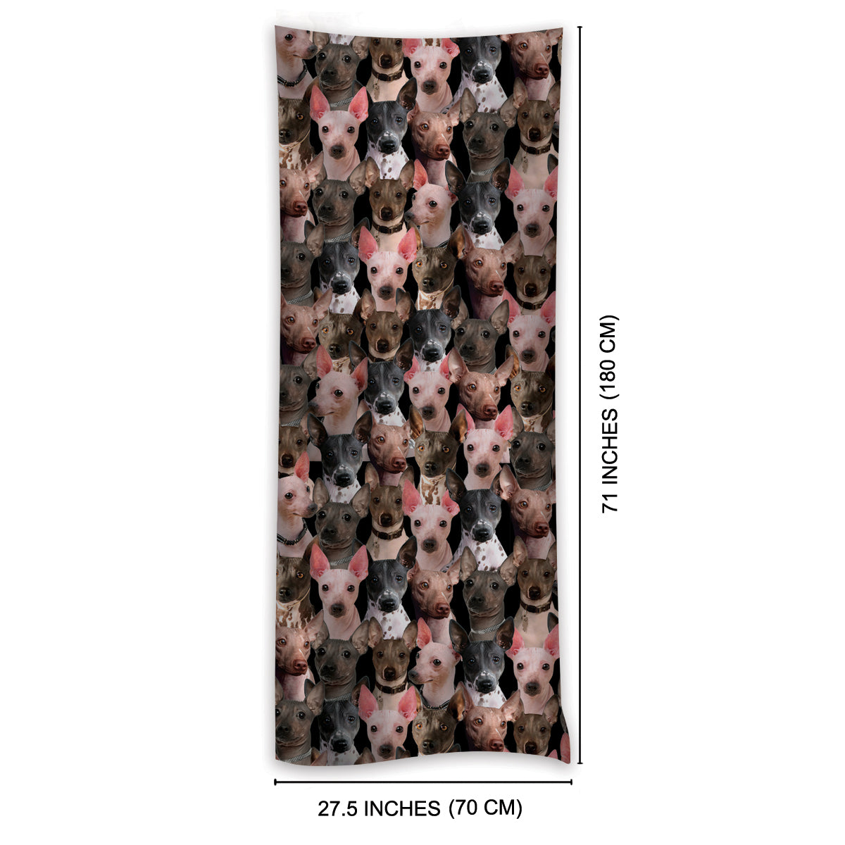 You Will Have A Bunch Of American Hairless Terriers - Scarf V1