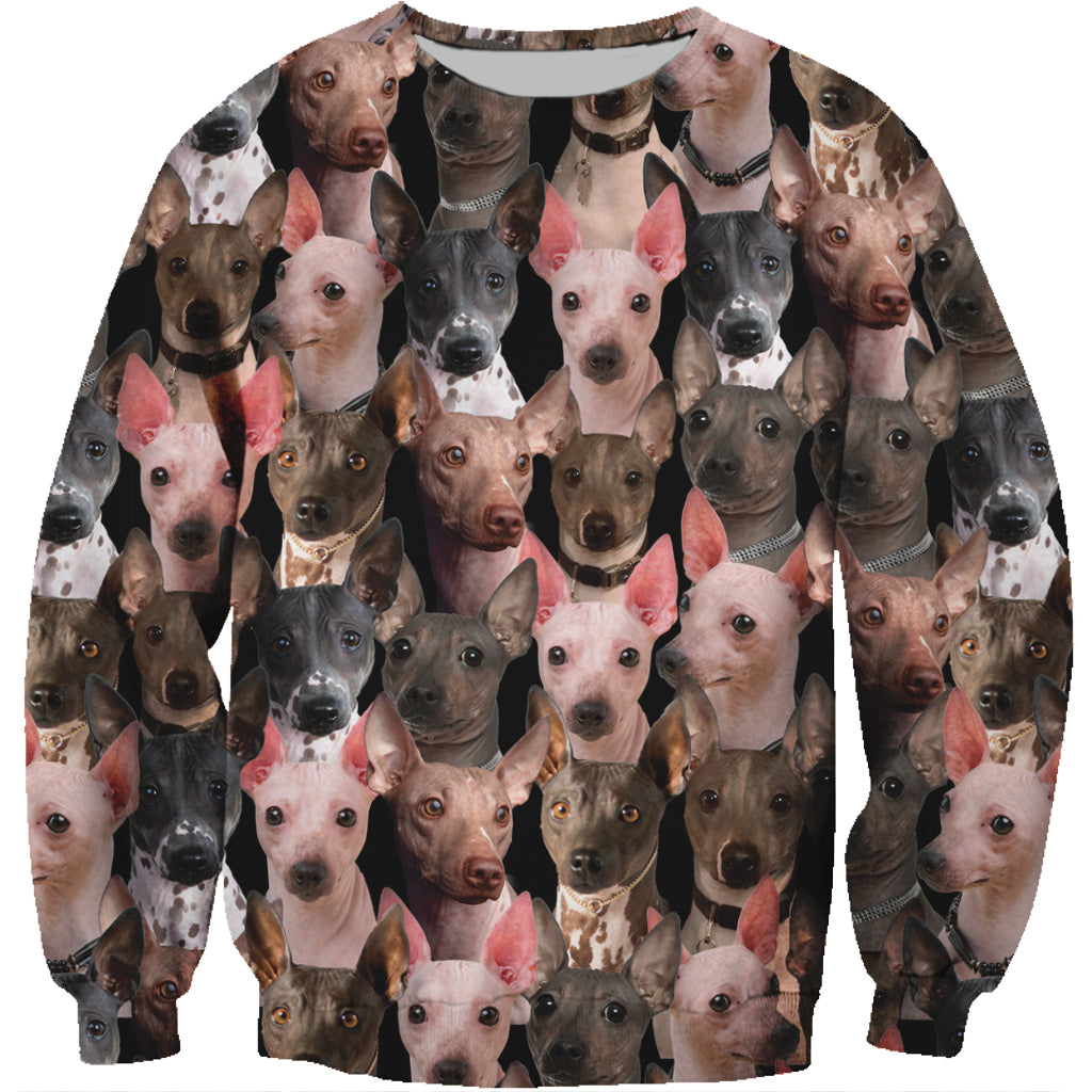 You Will Have A Bunch Of American Hairless Terriers - Sweatshirt V1