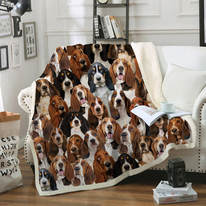 You Will Have A Bunch Of Basset Hounds - Blanket V1