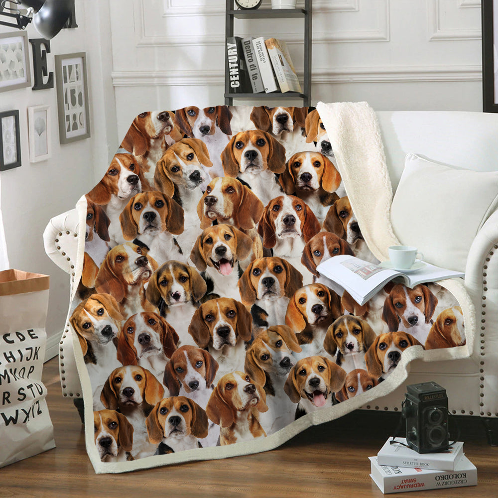 You Will Have A Bunch Of Beagles - Blanket V1