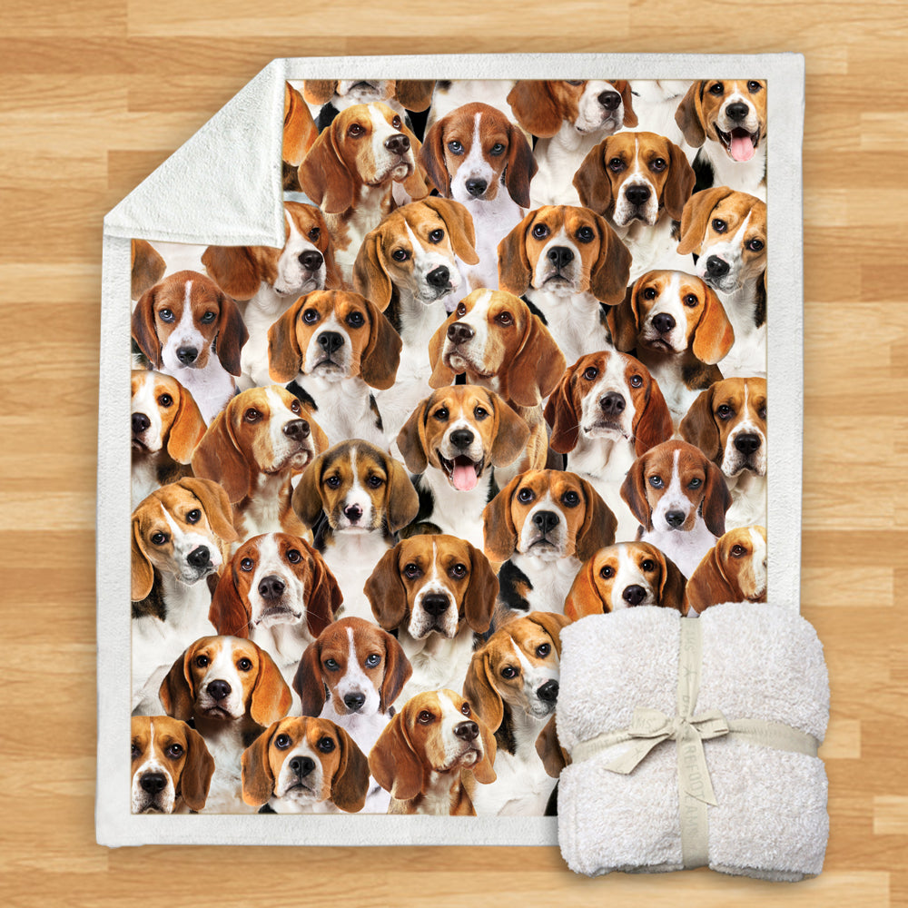 Beagles - Blanket V1