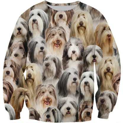 You Will Have A Bunch Of Bearded Collies - Sweatshirt V1