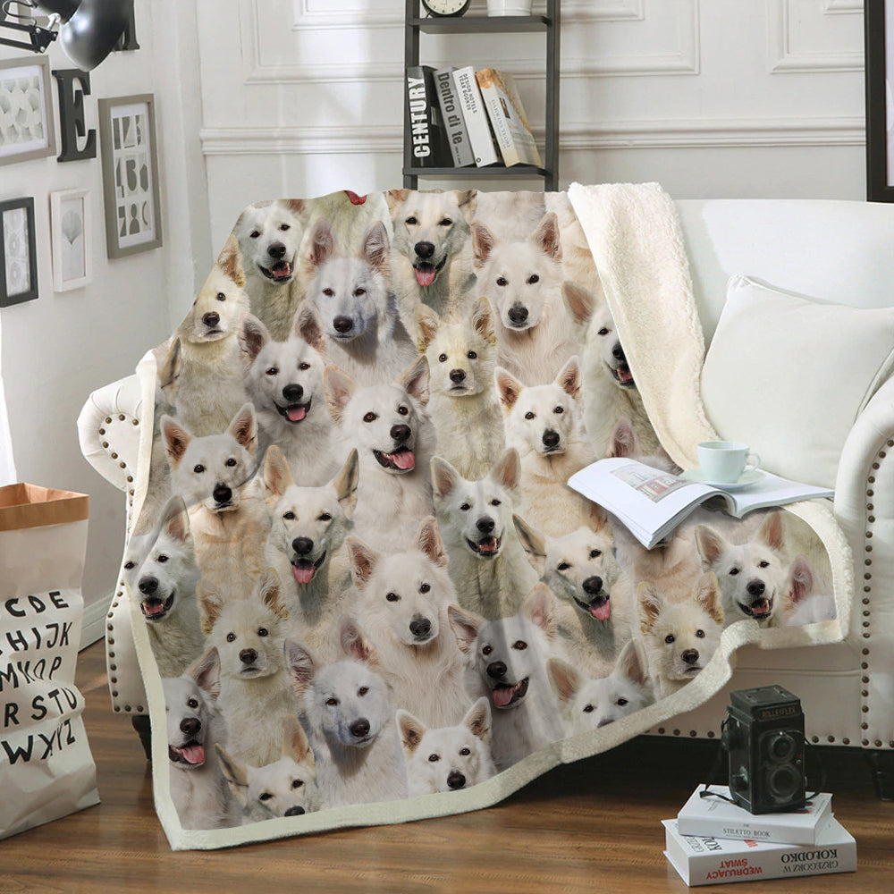 You Will Have A Bunch Of Berger Blanc Suisses - Blanket V1