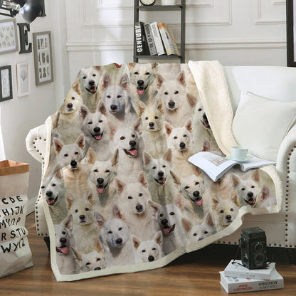 You Will Have A Bunch Of Berger Blanc Suisses - Blanket V1