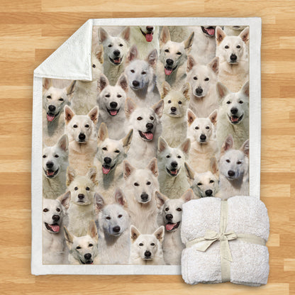 Berger Blanc Suisses - Blanket V1