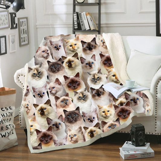 You Will Have A Bunch Of Birman Cats - Blanket V1