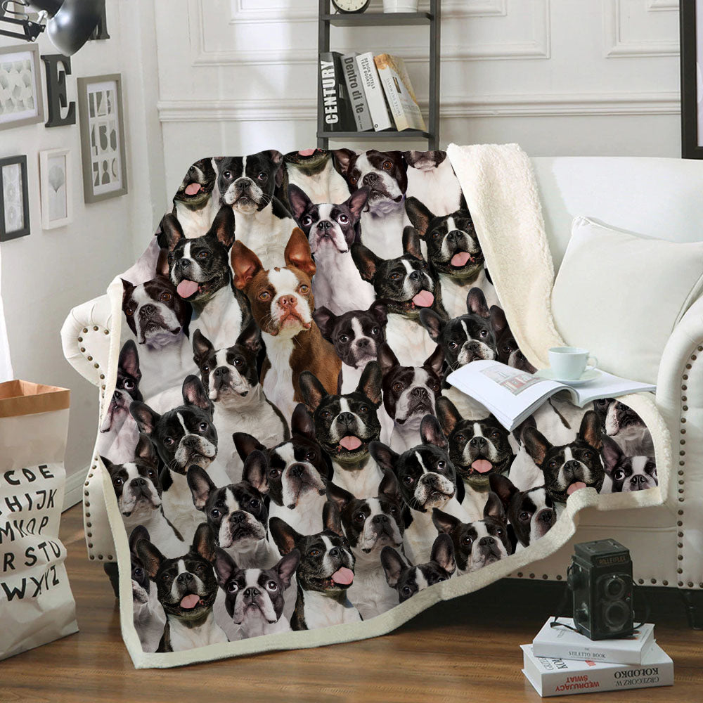 You Will Have A Bunch Of Boston Terriers - Blanket V1