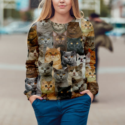 Vous aurez un groupe de chats British Shorthair - Sweatshirt V1
