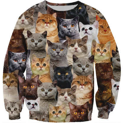 You Will Have A Bunch Of British Shorthair Cats - Sweatshirt V1
