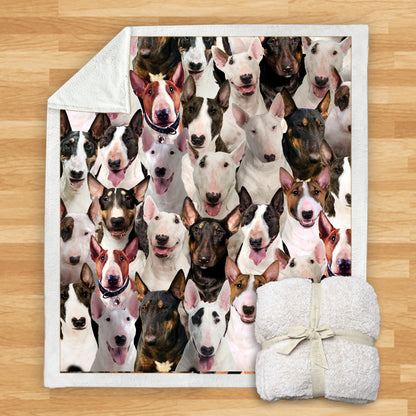 Bull Terriers - Blanket V1