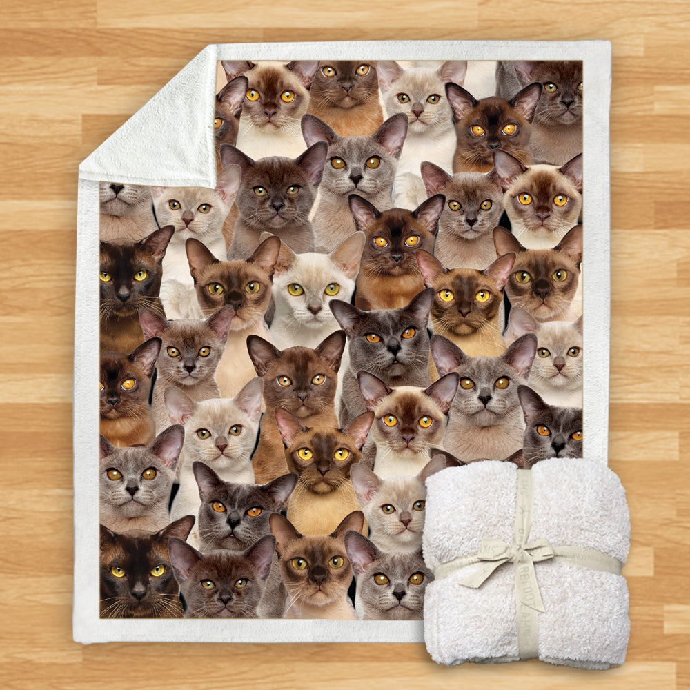 Burmese Cats - Blanket V1