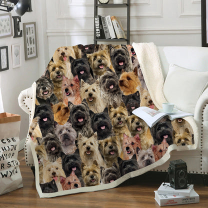 You Will Have A Bunch Of Cairn Terriers - Blanket V1