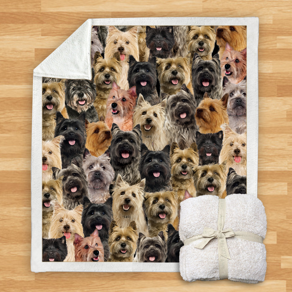 Cairn Terriers - Blanket V1