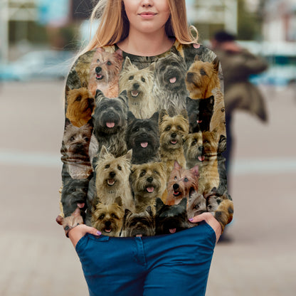 Vous aurez un groupe de Cairn Terriers - Sweatshirt V1