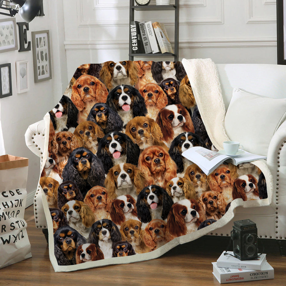 You Will Have A Bunch Of Cavalier King Charles Spaniels - Blanket V1