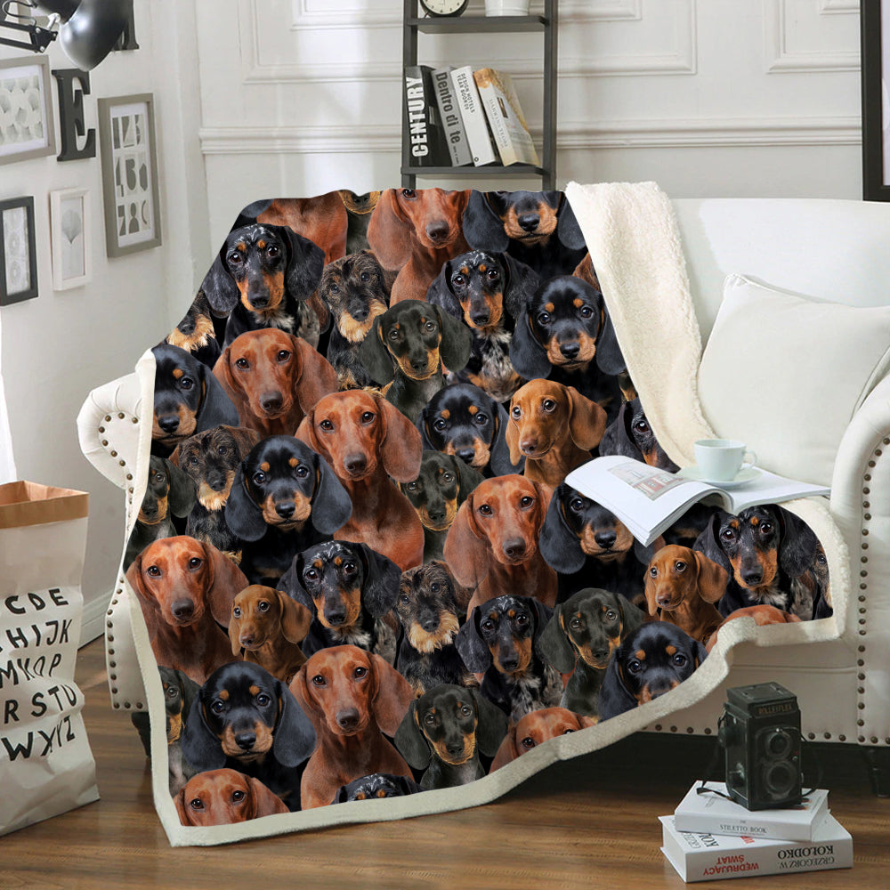 You Will Have A Bunch Of Dachshunds - Blanket V1