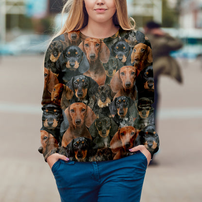 You Will Have A Bunch Of Dachshunds - Sweatshirt V1