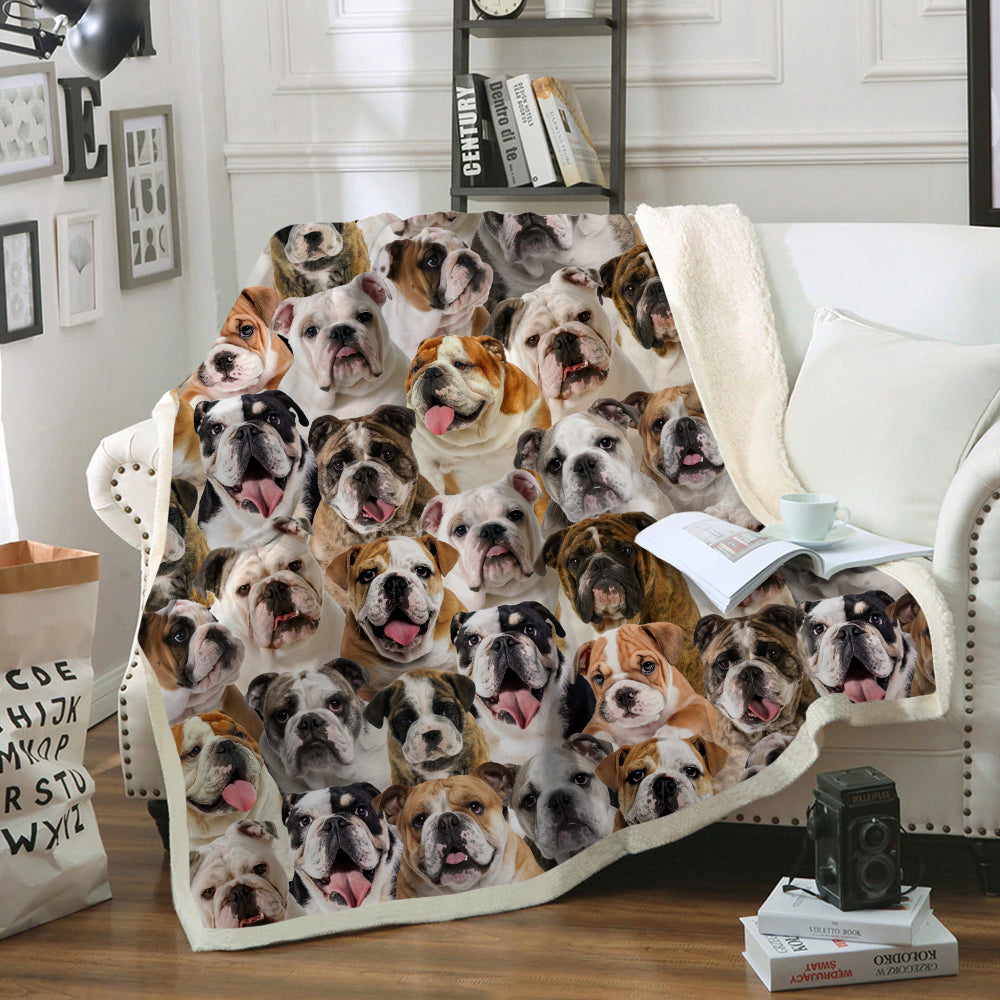 You Will Have A Bunch Of English Bulldogs - Blanket V1