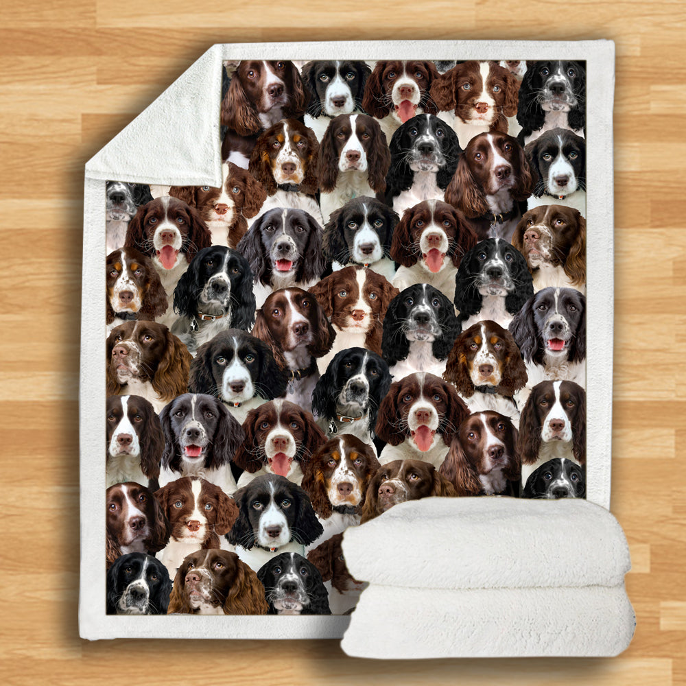 English Springer Spaniels - Blanket V1