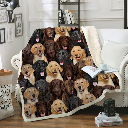 You Will Have A Bunch Of Flat Coated Retrievers - Blanket V1