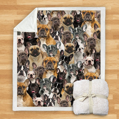 French Bulldogs - Blanket V1