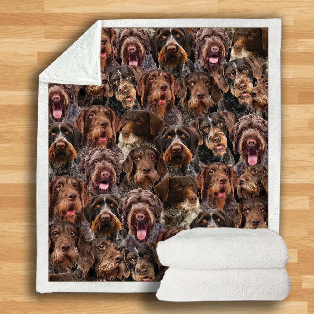 German Wirehaired Pointers - Blanket V1
