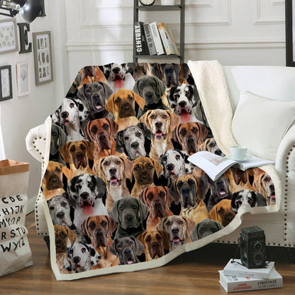 You Will Have A Bunch Of Great Danes - Blanket V1