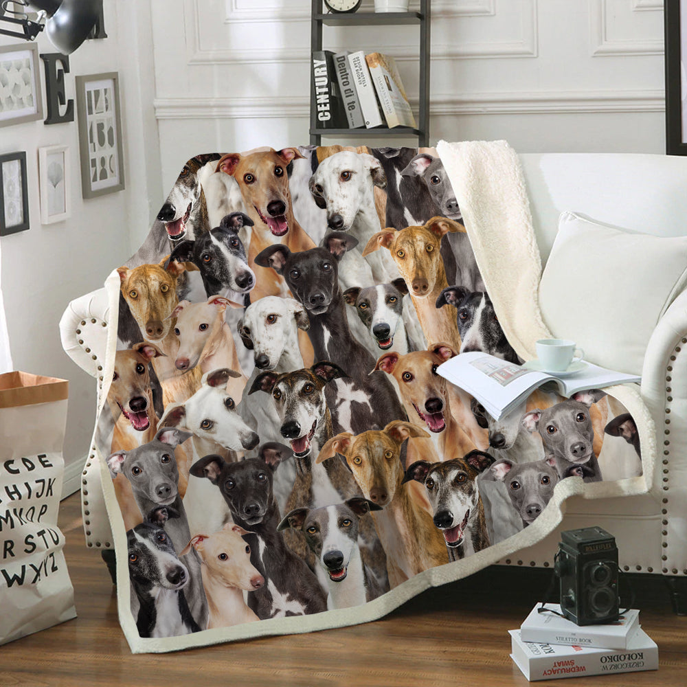 You Will Have A Bunch Of Greyhounds - Blanket V1
