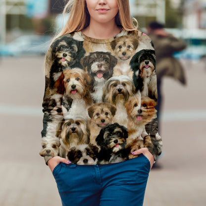 Du wirst einen Haufen Havaneser haben - Sweatshirt V1