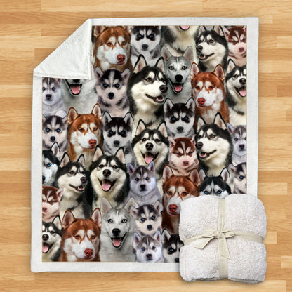 Huskies - Blanket V1