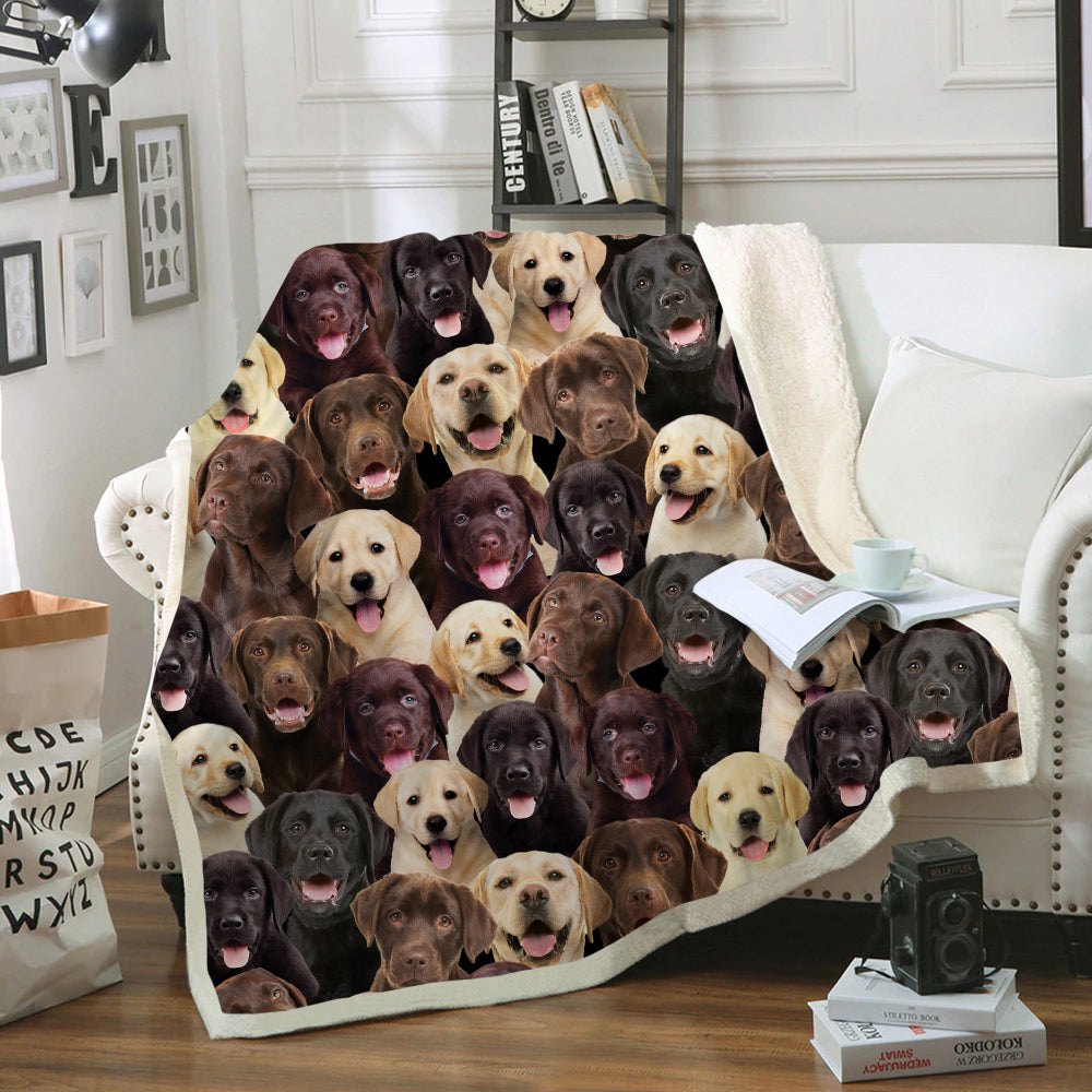 You Will Have A Bunch Of Labradors - Blanket V1