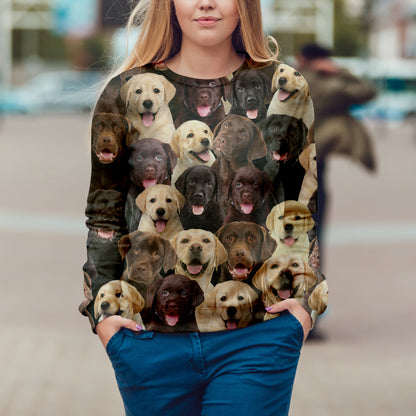 Du wirst einen Haufen Labradore haben - Sweatshirt V1