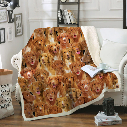 You Will Have A Bunch Of Nova Scotia Duck Tolling Retrievers - Blanket V1