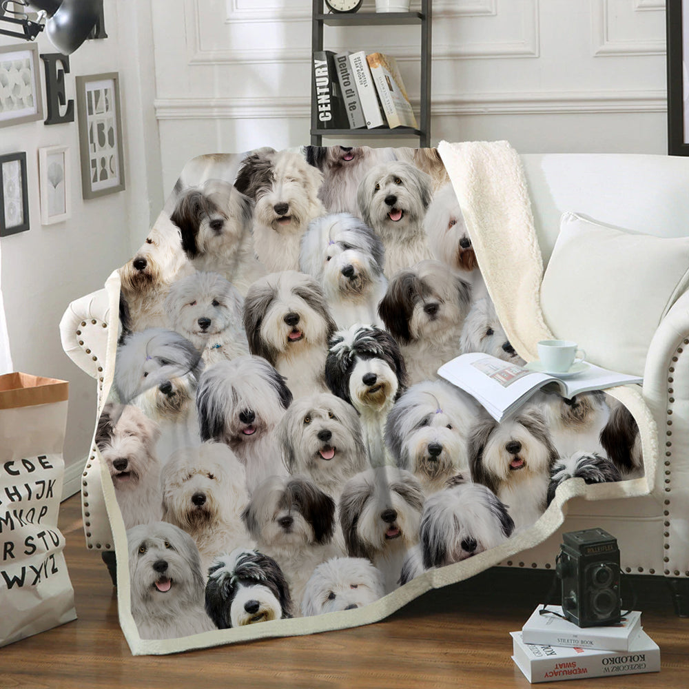 You Will Have A Bunch Of Old English Sheepdogs - Blanket V1