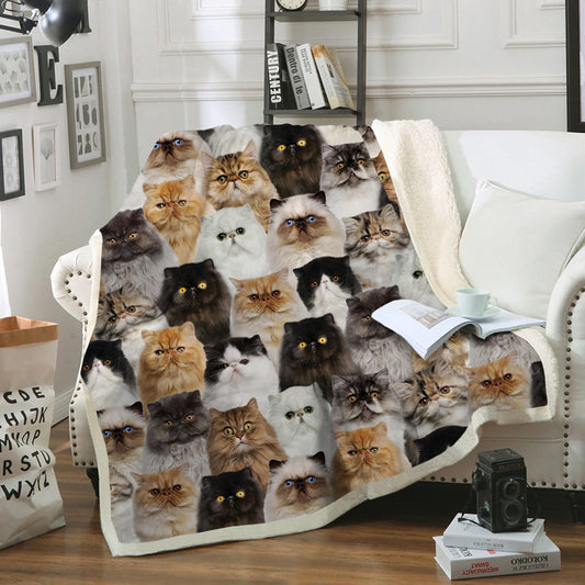 You Will Have A Bunch Of Persian Cats - Blanket V1