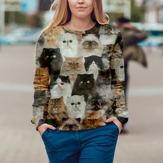 Vous aurez une bande de chats persans - Sweatshirt V1