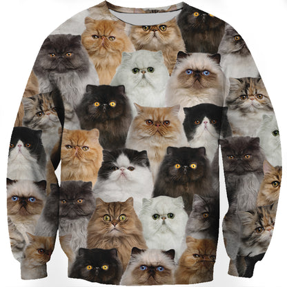 You Will Have A Bunch Of Persian Cats - Sweatshirt V1