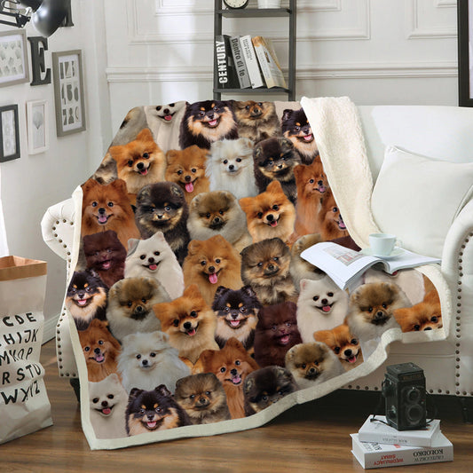 You Will Have A Bunch Of Pomeranians - Blanket V1