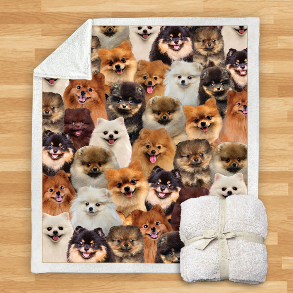 Pomeranians - Blanket V1