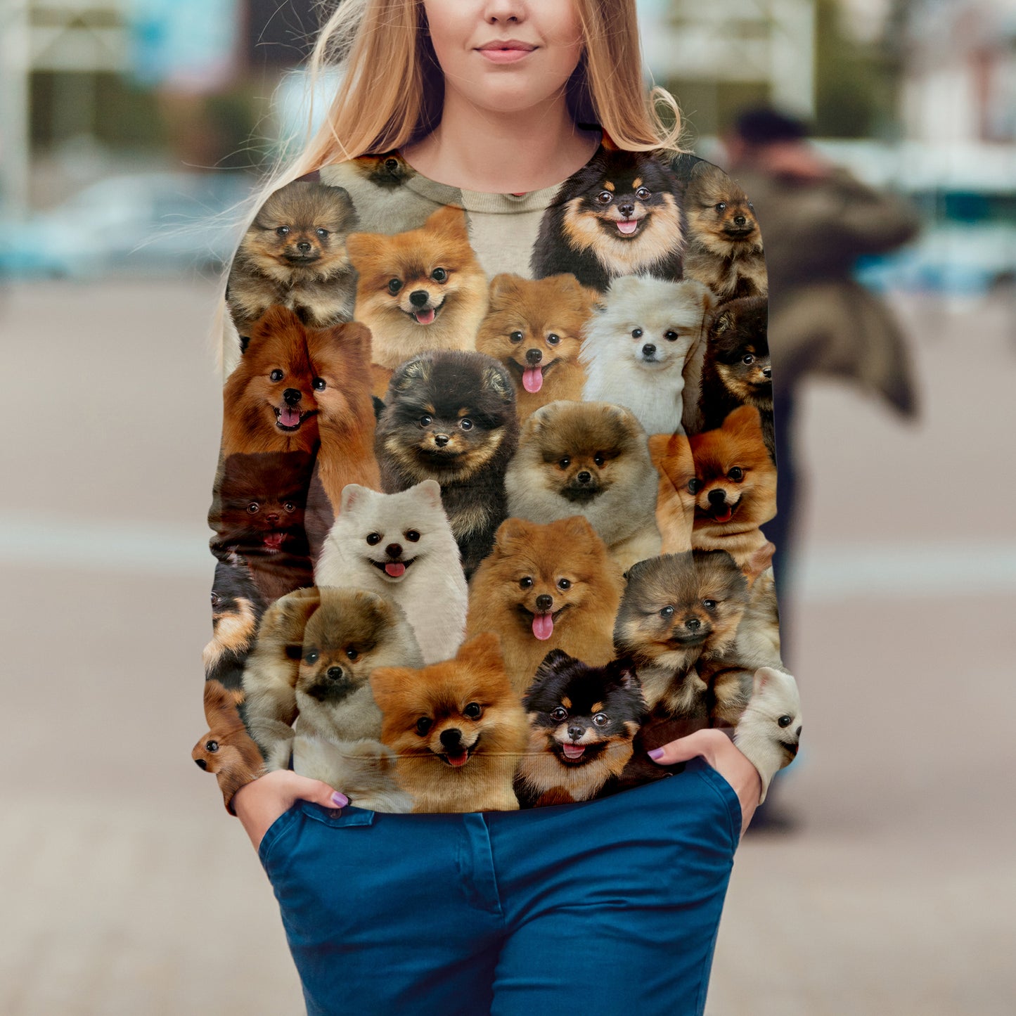 You Will Have A Bunch Of Pomeranians - Sweatshirt V1