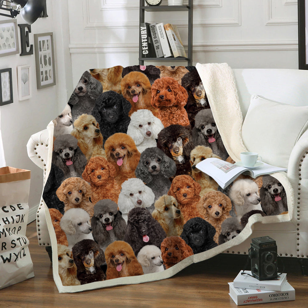 You Will Have A Bunch Of Poodles - Blanket V1