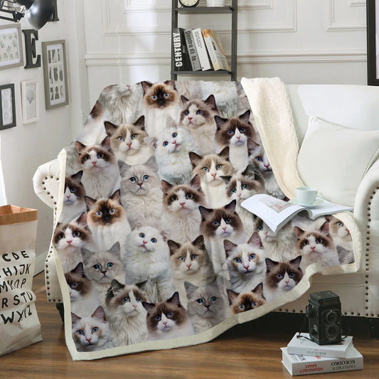 You Will Have A Bunch Of Ragdoll Cats - Blanket V1