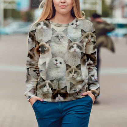 Du wirst einen Haufen Ragdoll-Katzen haben - Sweatshirt V1