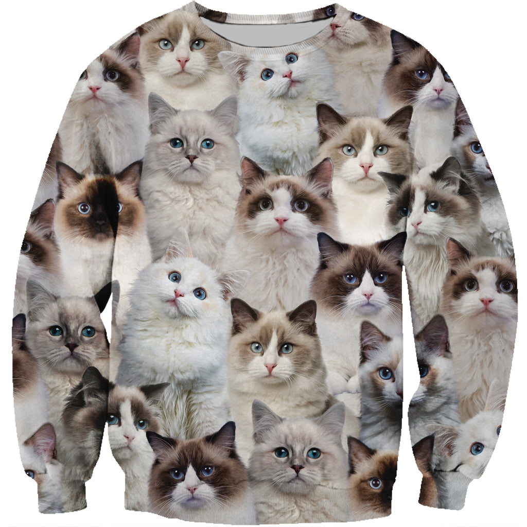 Du wirst einen Haufen Ragdoll-Katzen haben - Sweatshirt V1