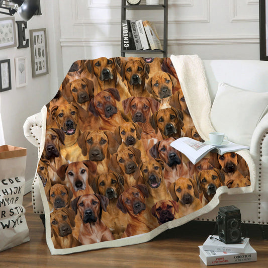 You Will Have A Bunch Of Rhodesian Ridgebacks - Blanket V1